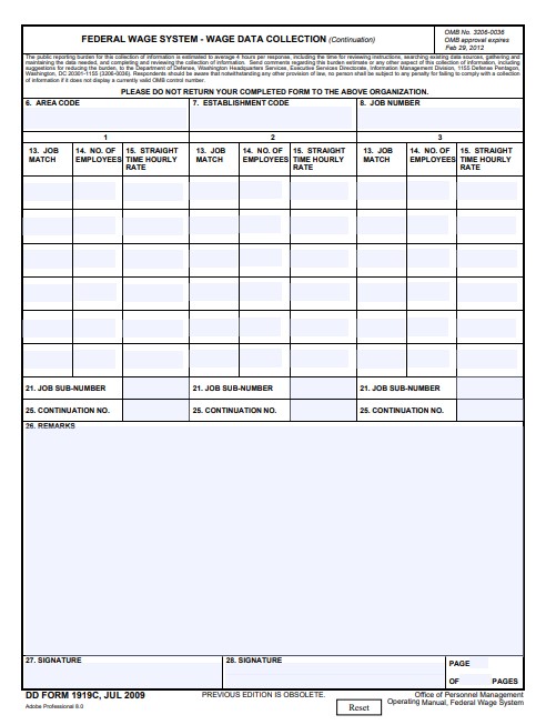 Download dd form 1919C