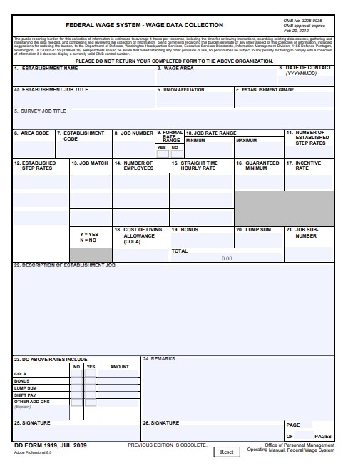 DD Form 1919 form preview