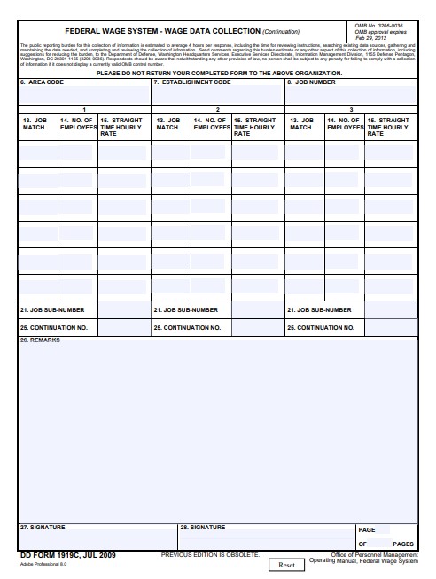 DD Form 1919C form preview