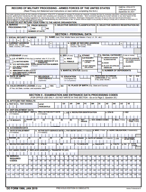 DD Form 1966 form preview