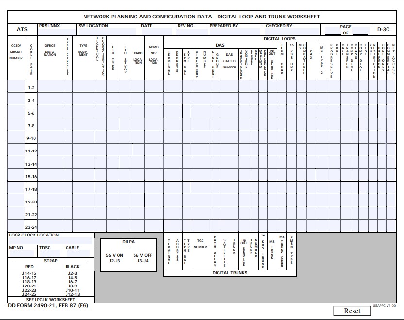DD Form 2490-21 form preview