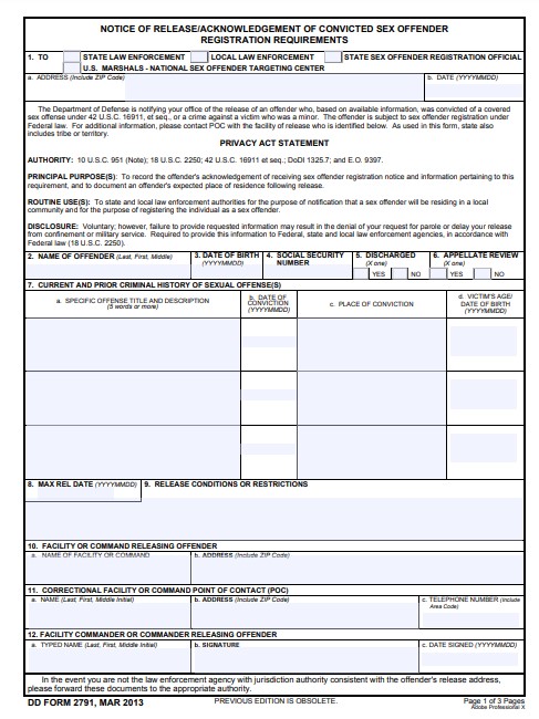 DD Form 2791 form preview