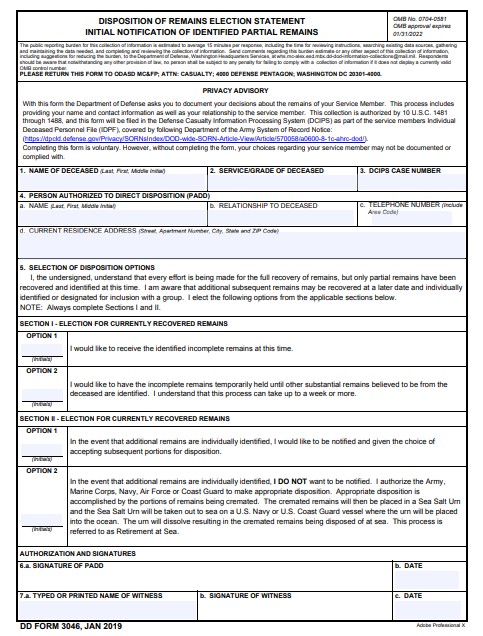 DD Form 3046 form preview