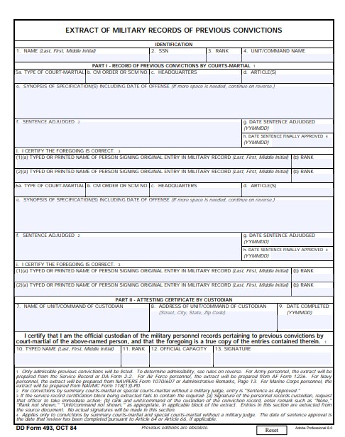 DD Form 493 form preview